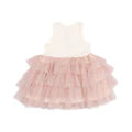 Tank Layered Tulle Tutu Dress - Bows