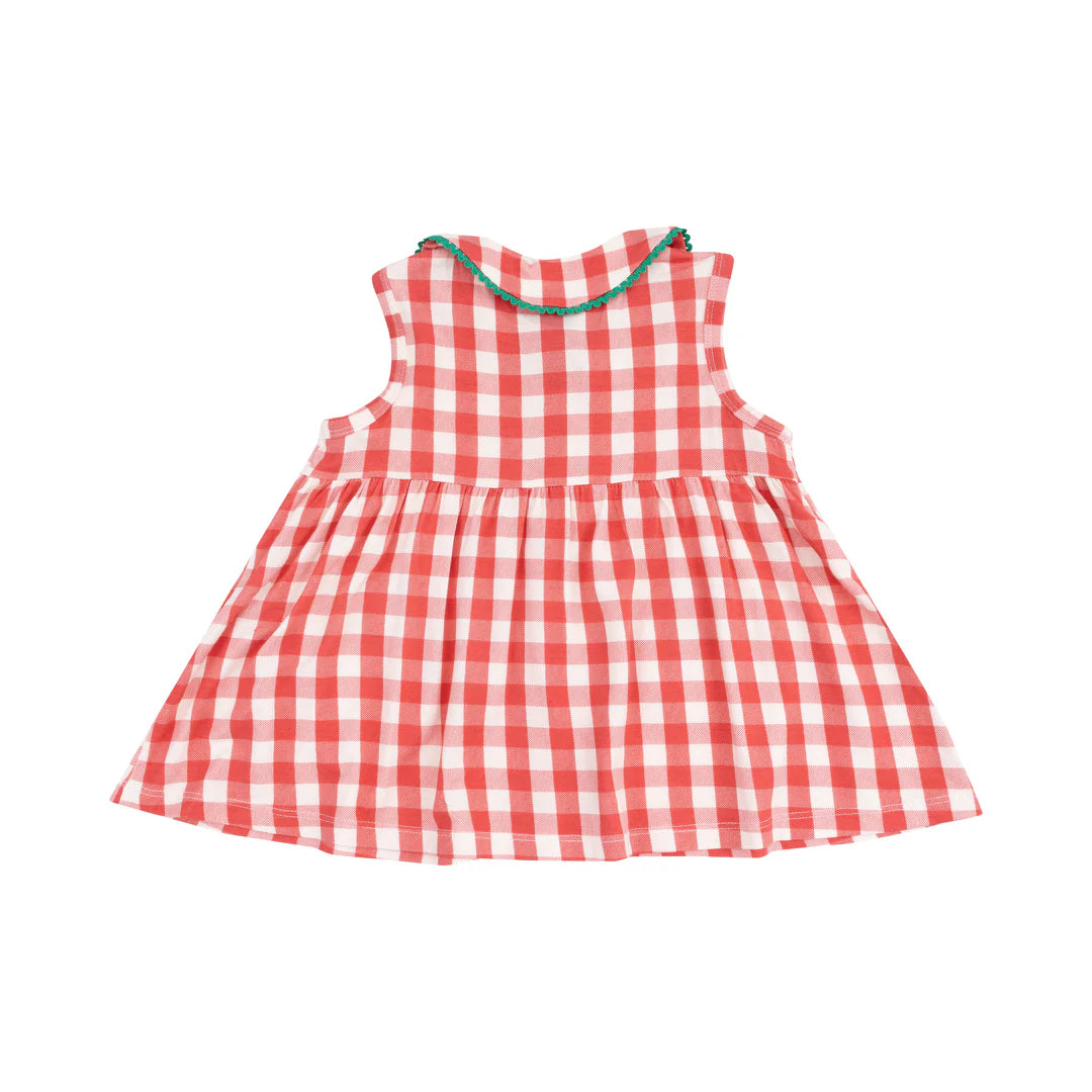 Strawberry Gingham Peter Pan Button Front Dress With Ric Rac Trim Dress
