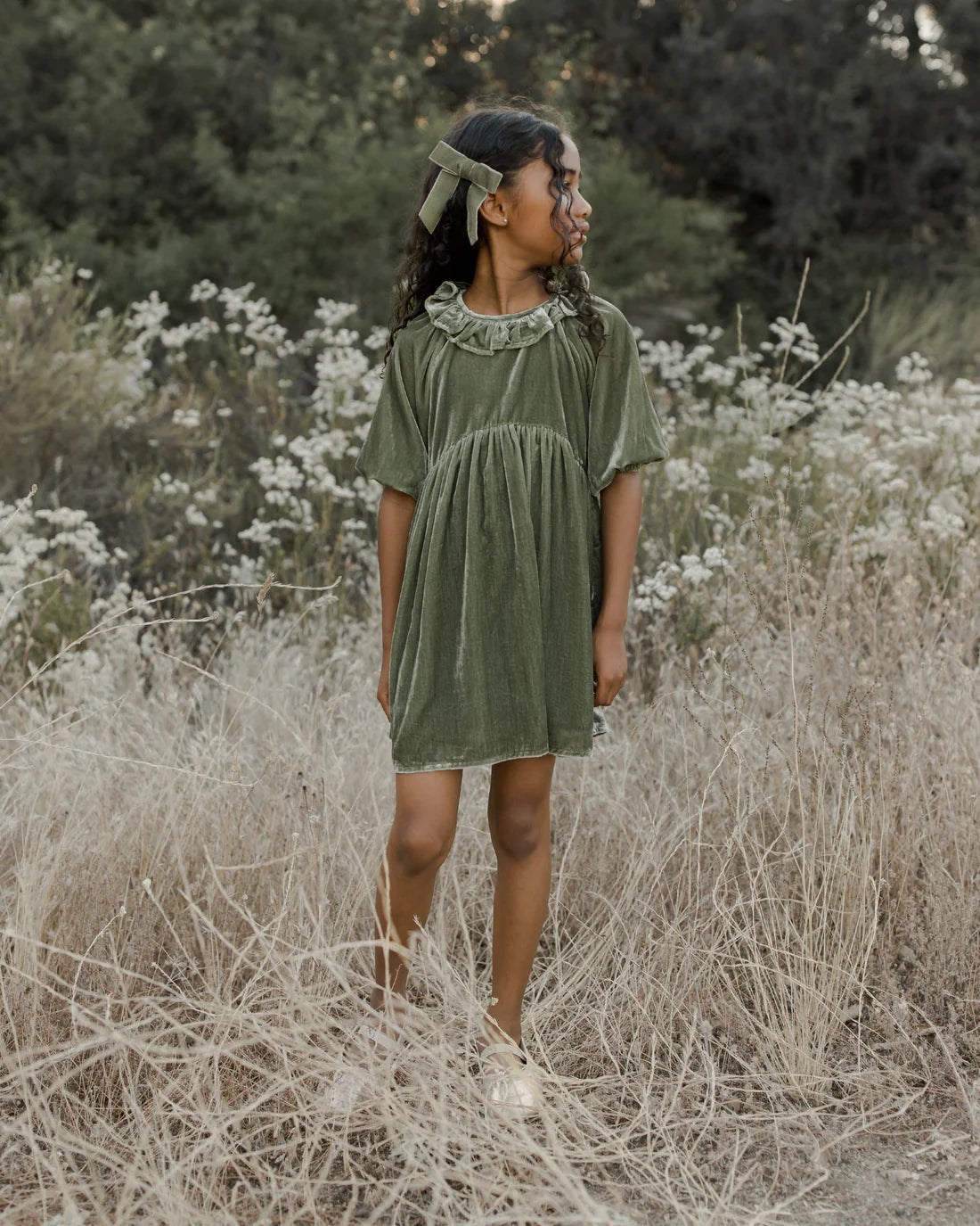 VELVET BOW || PINE