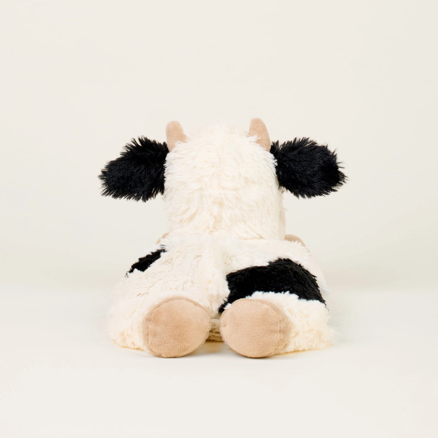 Laying Down Cow