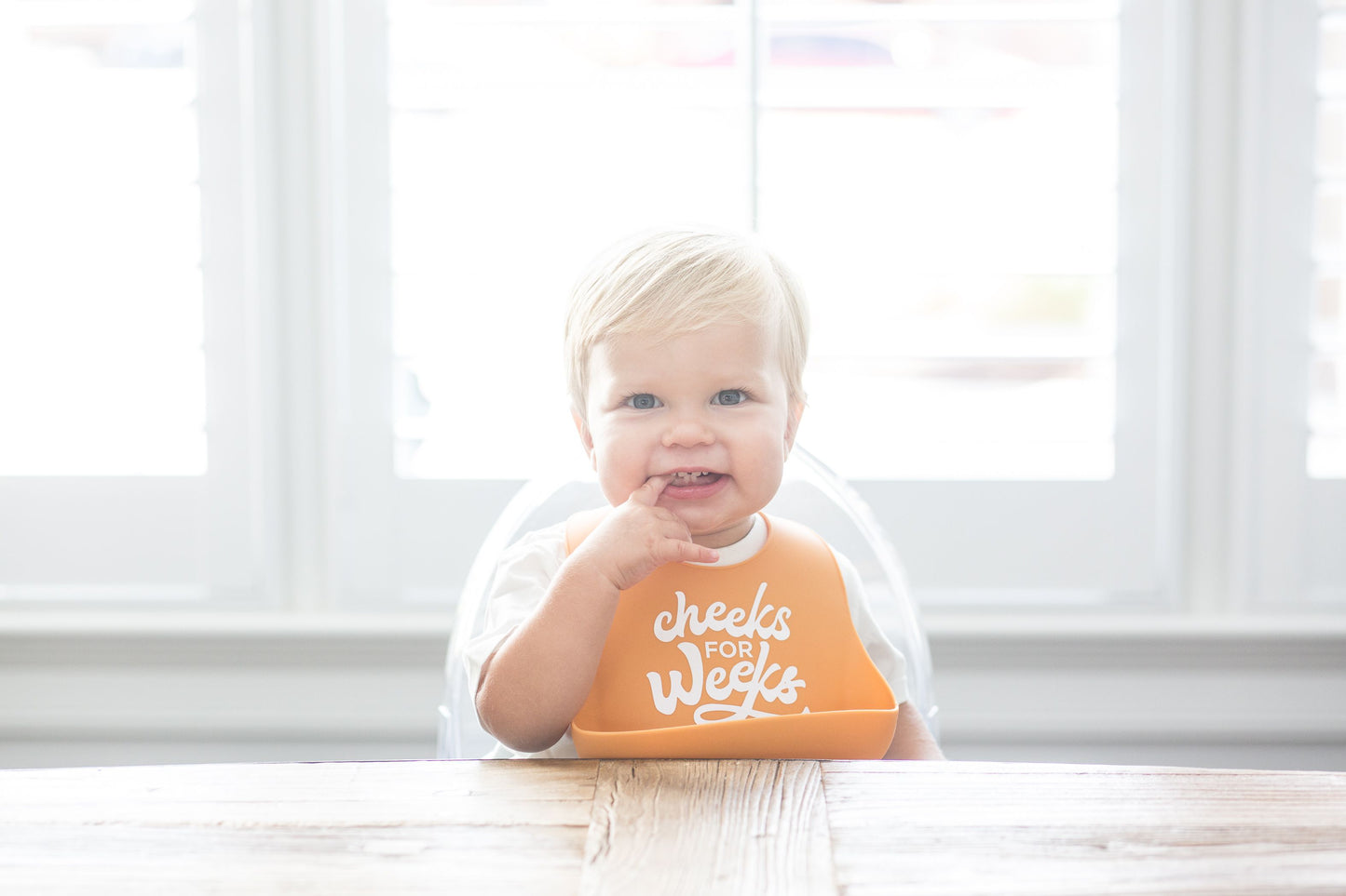 CHEEKS FOR WEEKS WONDER BIB