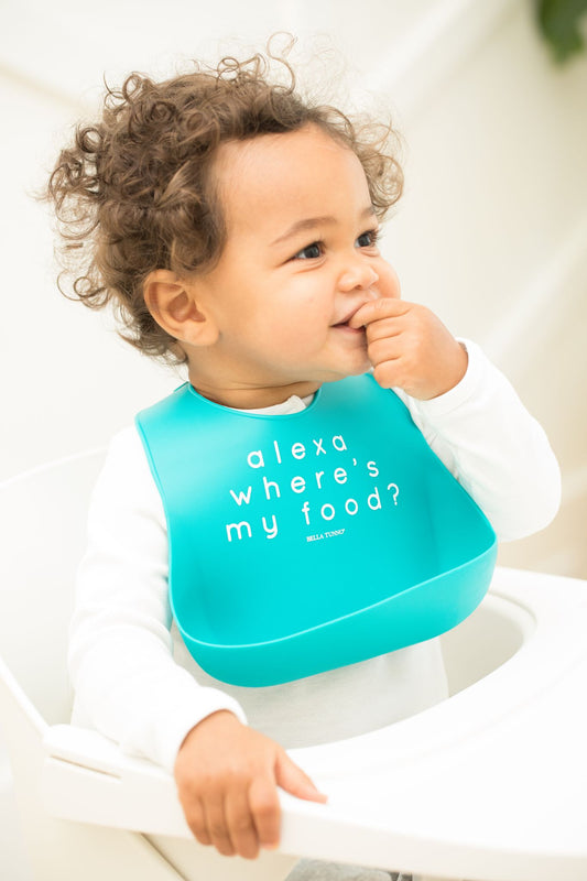 ALEXA WHERE'S MY FOOD WONDER BIB